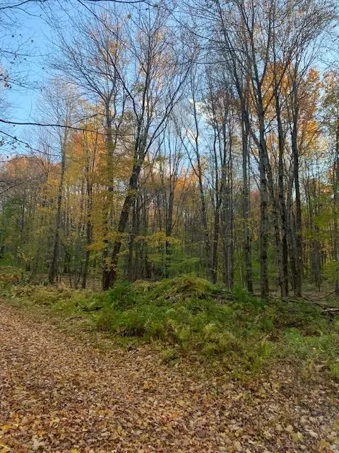 0 Sunrise Mountain Rd, Kortright, NY 13739