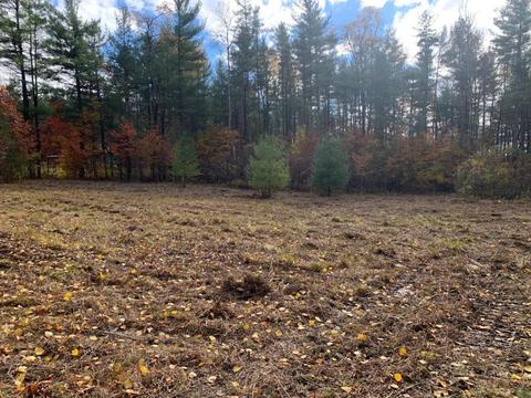 0 Mt Pleasant Rd, Bainbridge, NY 13733