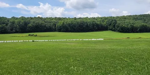 0 County Road 34, Norwich, NY 13815