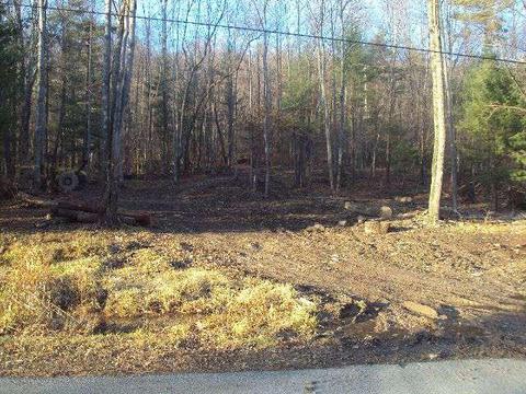 0 Woodstream Ln, Oneonta-city, NY 13820