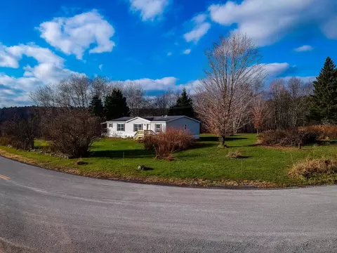 781 Bearkill Rd, Conesville, NY 12076