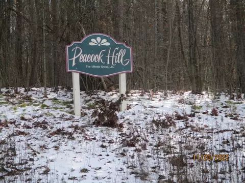 72 Dodd Rd Lot 7 8, Windsor, NY 13865