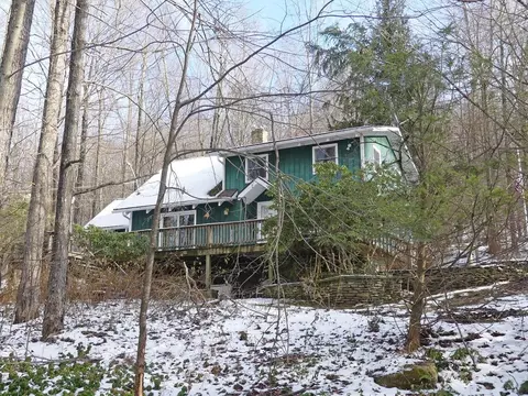 278 Tunis Lake Rd, Andes, NY 13731