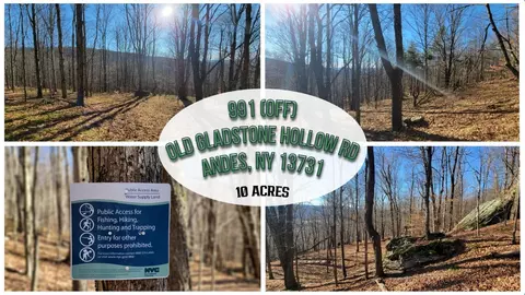 991 Old Gladstone Hollow Rd, Andes, NY 13731