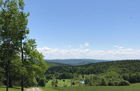 0 Wilson Rd, Cherry Valley, NY 13320