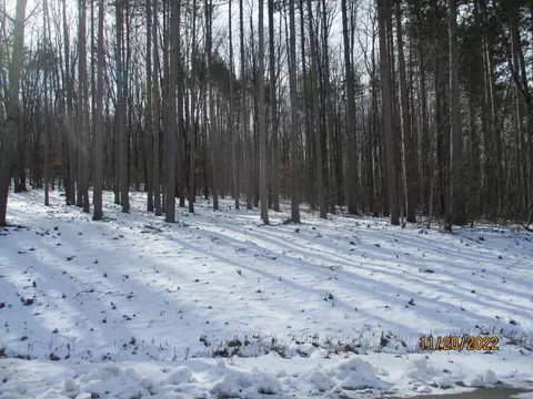72 Dodd Lot 6 Rd, Windsor, NY 13865
