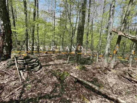 0 Tree Stand Ln, Jefferson, NY 12093