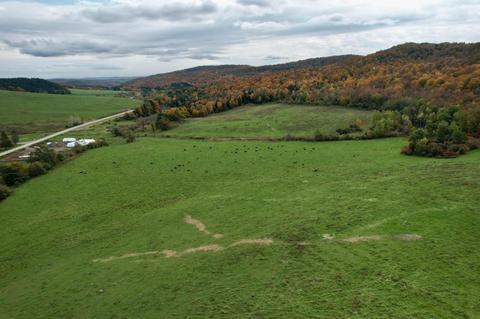 lot25 And 261 Campbell Rd, Lebanon, NY 13332