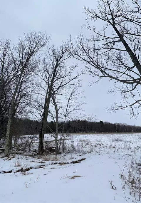0 County Highway 5, Butternuts, NY 13825