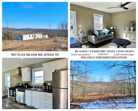 907 Flax Island Rd, Otego, NY 13825