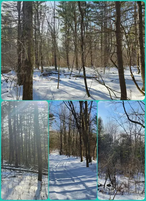 lot02 Hutchinson Hill Rd, Unadilla, NY 13849