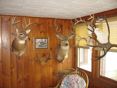 5935 E Lake Rd, Conesus, NY 14435 photo 17