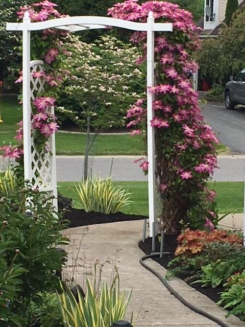 1229 State Rd, Webster, NY 14580 photo 28