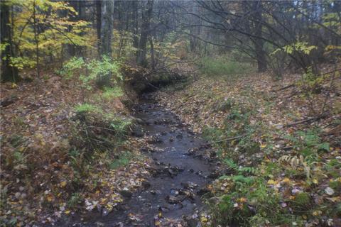 0 Crandall Rd County Rd 37, Guilford, NY 13780