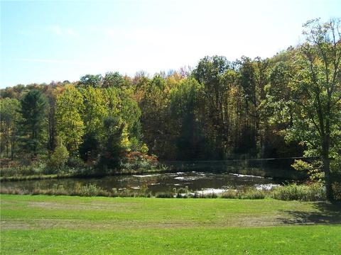2990 Oregon Rd, Olean, NY 14760 photo 35