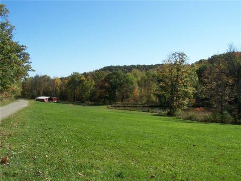 2990 Oregon Rd, Olean, NY 14760 photo 11
