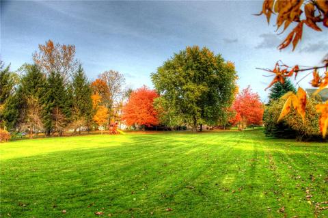 415 Hobsons Choice, Webster, NY 14580 photo 6