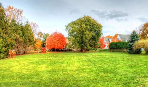 415 Hobsons Choice, Webster, NY 14580 photo 4
