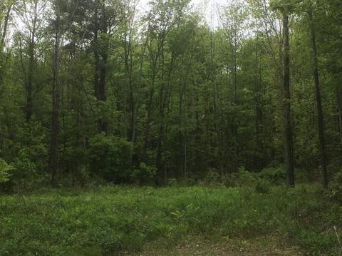 120 Southwoods Dr, Ithaca-town, NY 14850 photo 1
