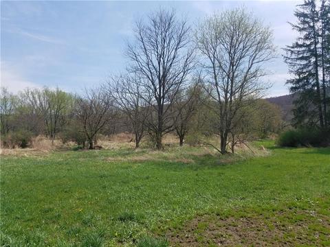 1860 Haskell Rd, Portville, NY 14770 photo 1