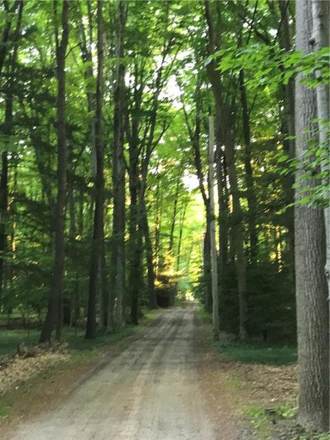 300 Hemlock Trl, Webster, NY 14580 photo 4