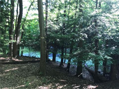 300 Hemlock Trl, Webster, NY 14580 photo 47
