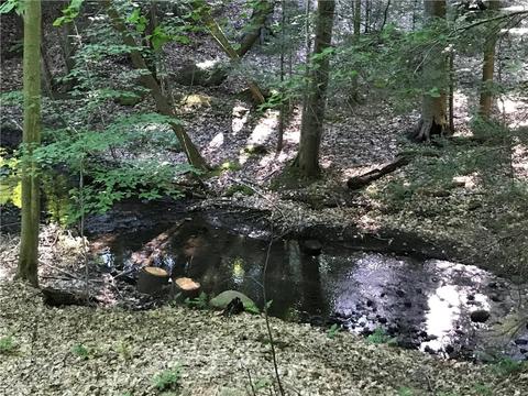 300 Hemlock Trl, Webster, NY 14580 photo 48