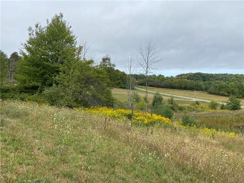4900 Turnpike Rd, Bath, NY 14810 photo 22