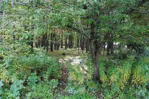 0 Chestnut St, Mt Jewett Boro, PA 16740