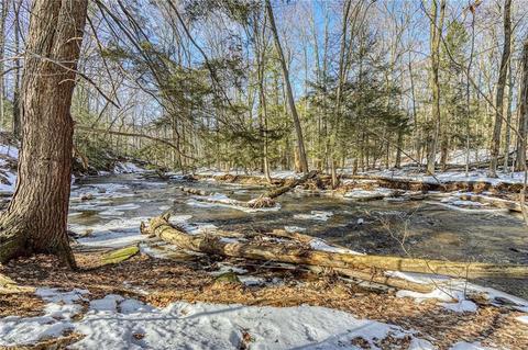 338 Shadowbrook Dr, Webster, NY 14580 photo 9