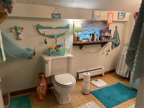 315 E Williams St, Waterloo, NY 13165 photo 28