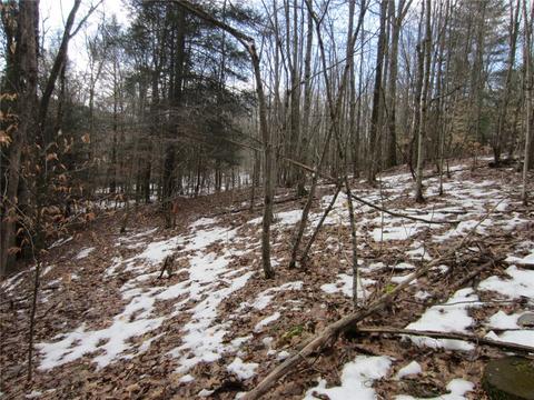 276 Bryan Rd, Erin, NY 14861 photo 16