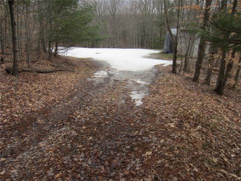 276 Bryan Rd, Erin, NY 14861 photo 2