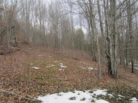 276 Bryan Rd, Erin, NY 14861 photo 6