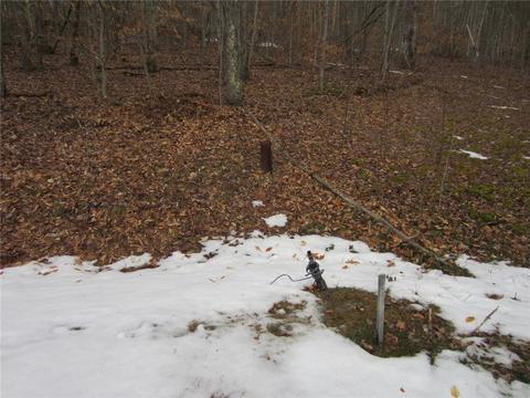 276 Bryan Rd, Erin, NY 14861 photo 4