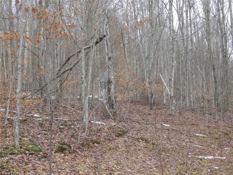 276 Bryan Rd, Erin, NY 14861 photo 5