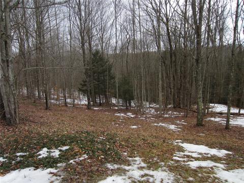 276 Bryan Rd, Erin, NY 14861 photo 7