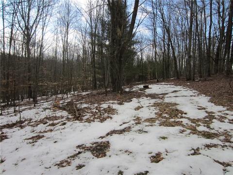 276 Bryan Rd, Erin, NY 14861 photo 11