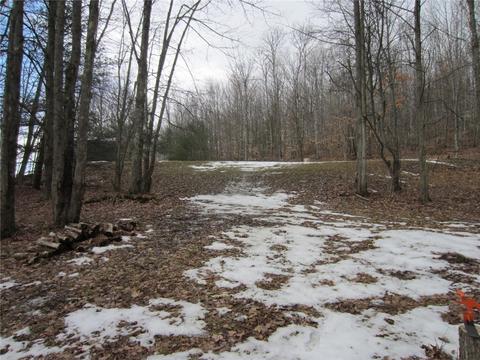276 Bryan Rd, Erin, NY 14861 photo 10