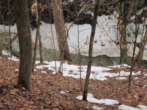276 Bryan Rd, Erin, NY 14861 photo 13