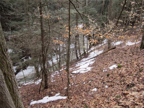 276 Bryan Rd, Erin, NY 14861 photo 14