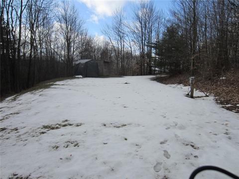 276 Bryan Rd, Erin, NY 14861 photo 8