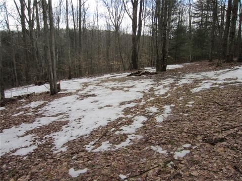 276 Bryan Rd, Erin, NY 14861 photo 9