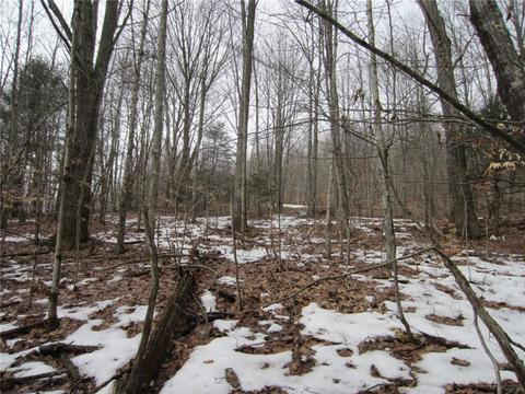 276 Bryan Rd, Erin, NY 14861 photo 15