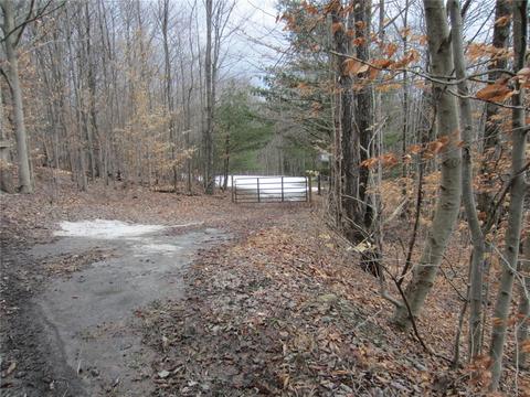 276 Bryan Rd, Erin, NY 14861 photo 1