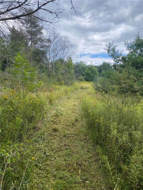 10886 Mattoon Rd, Prattsburgh, NY 14873 photo 15