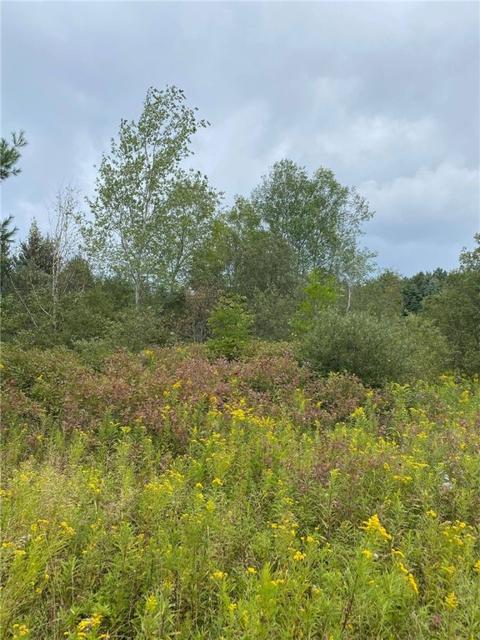 10886 Mattoon Rd, Prattsburgh, NY 14873 photo 13