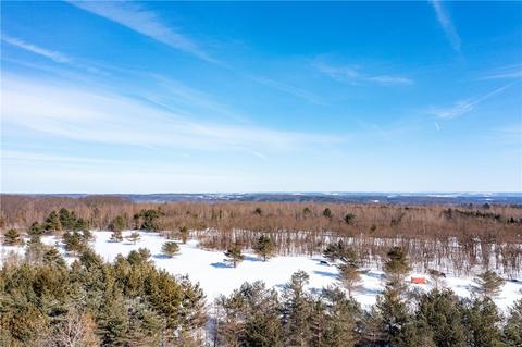 10886 Mattoon Rd, Prattsburgh, NY 14873 photo 6