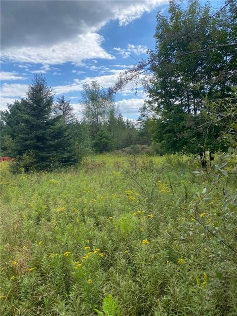 10886 Mattoon Rd, Prattsburgh, NY 14873 photo 16