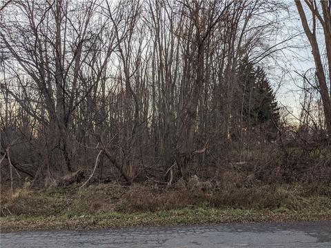 343 Michigan St, Lockport-city, NY 14094